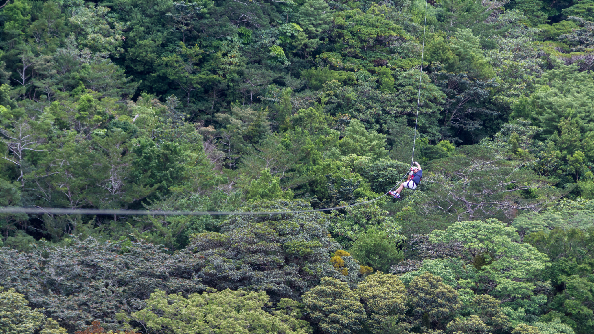 Zipline
